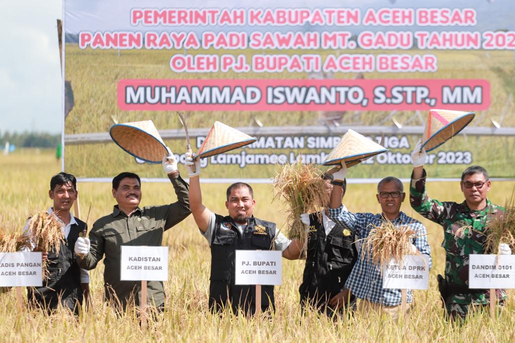 Pj Bupati Aceh Besar Panen Perdana MT Gadu