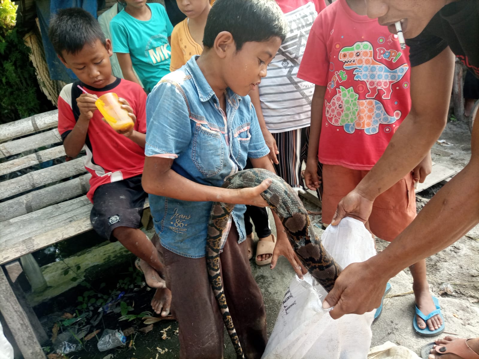 3 Bocah Tangkap Ular Piton Sepanjang 3 Meter