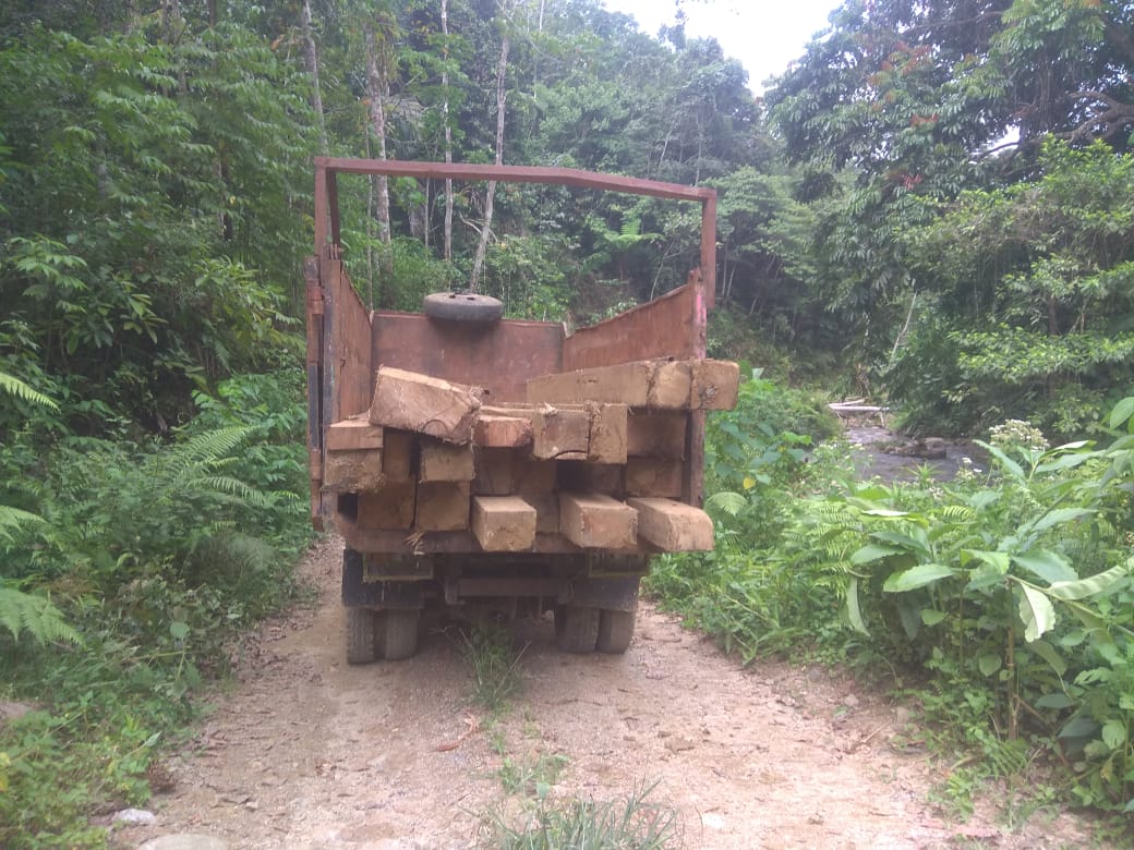 LiRA Tabagsel Laporkan Perambahan Hutan Di Tapsel