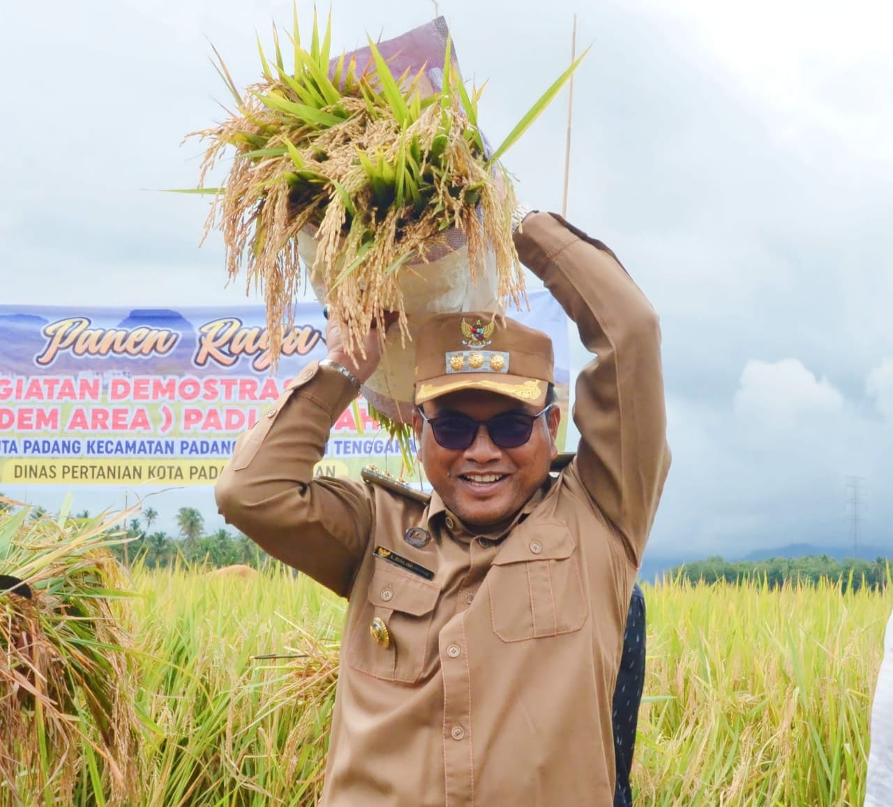 Produksi Padi Di Padangsidimpuan Meningkat Dari 17,77 Ton Jadi 20,65 Ribu Ton
