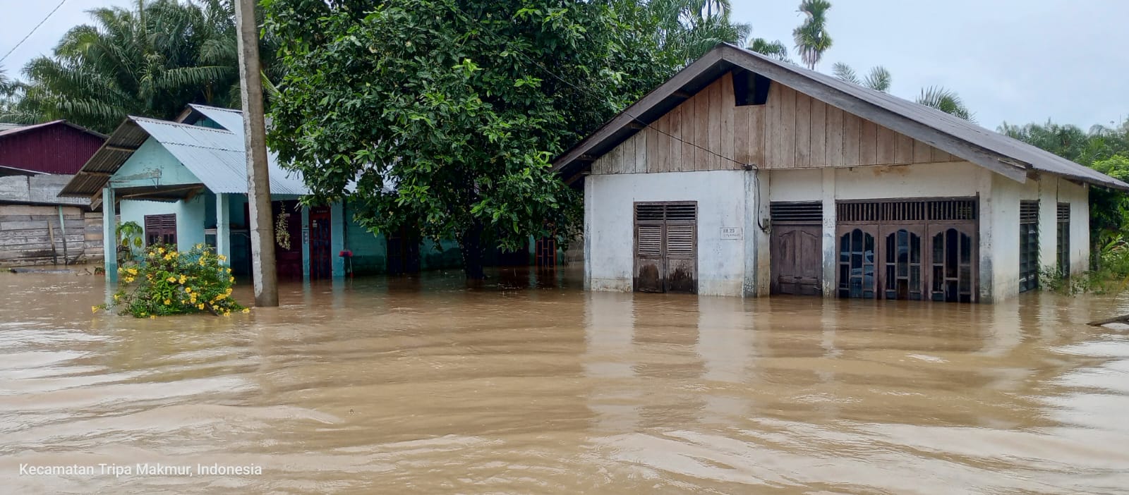 Banjir Di Tripa Makmur Belum Surut, Warga Mengungsi