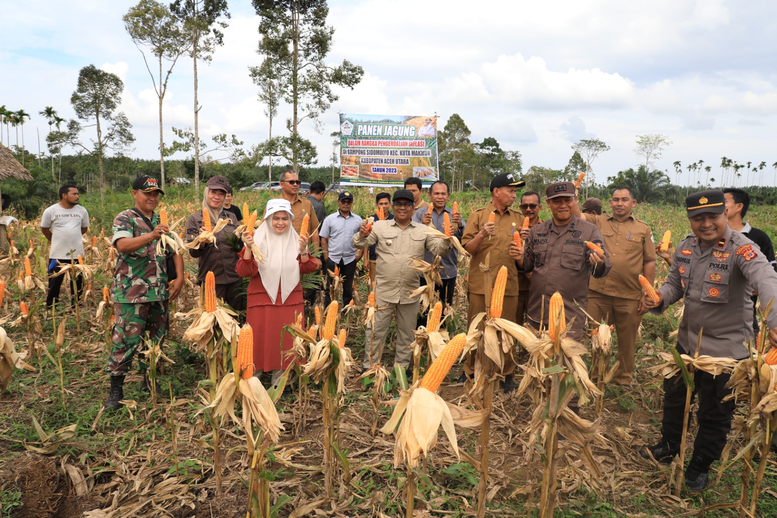 Mahyuzar Panen 1000 Ha Jagung Kering Pipil Di Aceh Utara