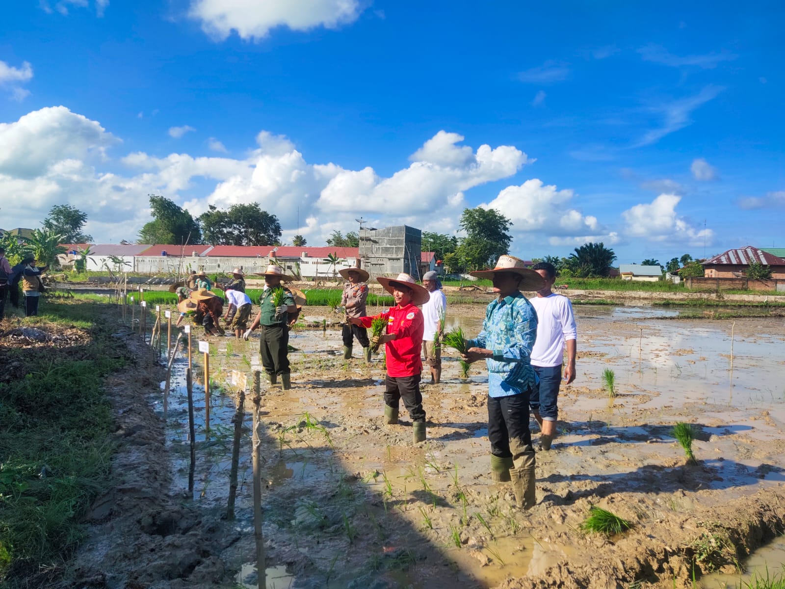 Pj Wali Kota Langsa Taman Padi Perdana