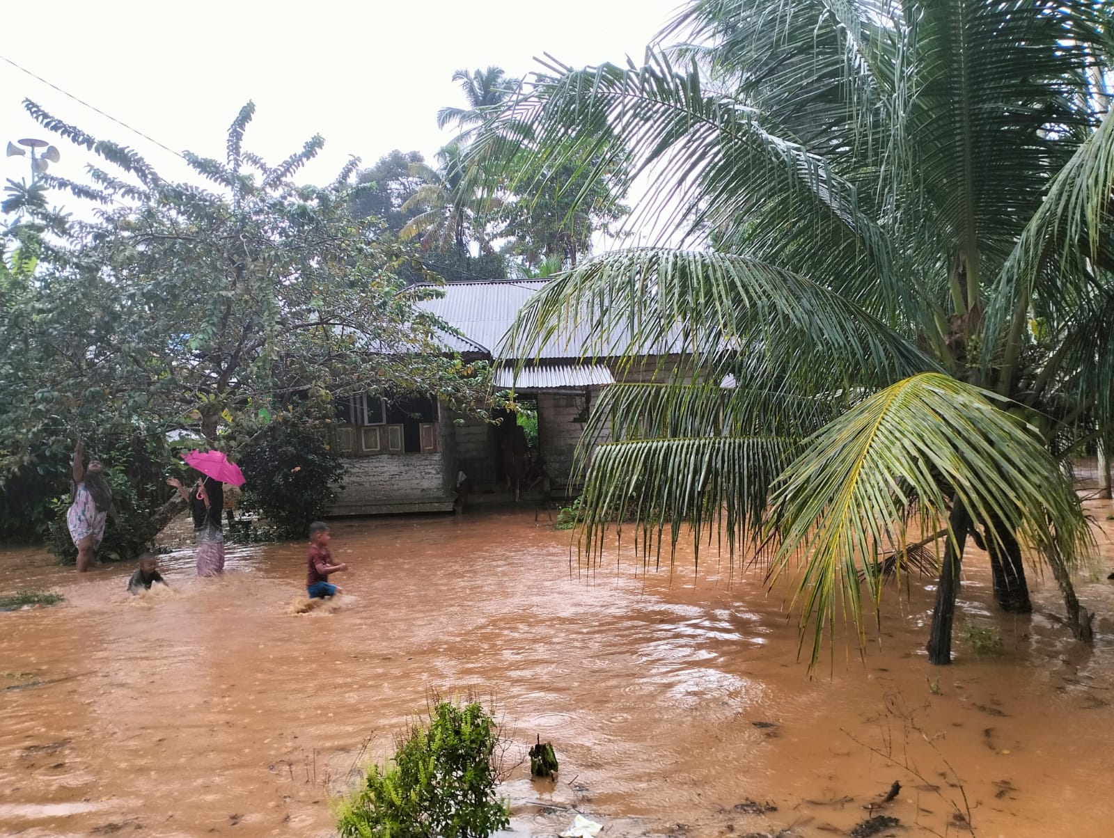 Tiga Kecamatan Di Aceh Jaya Direndam Banjir