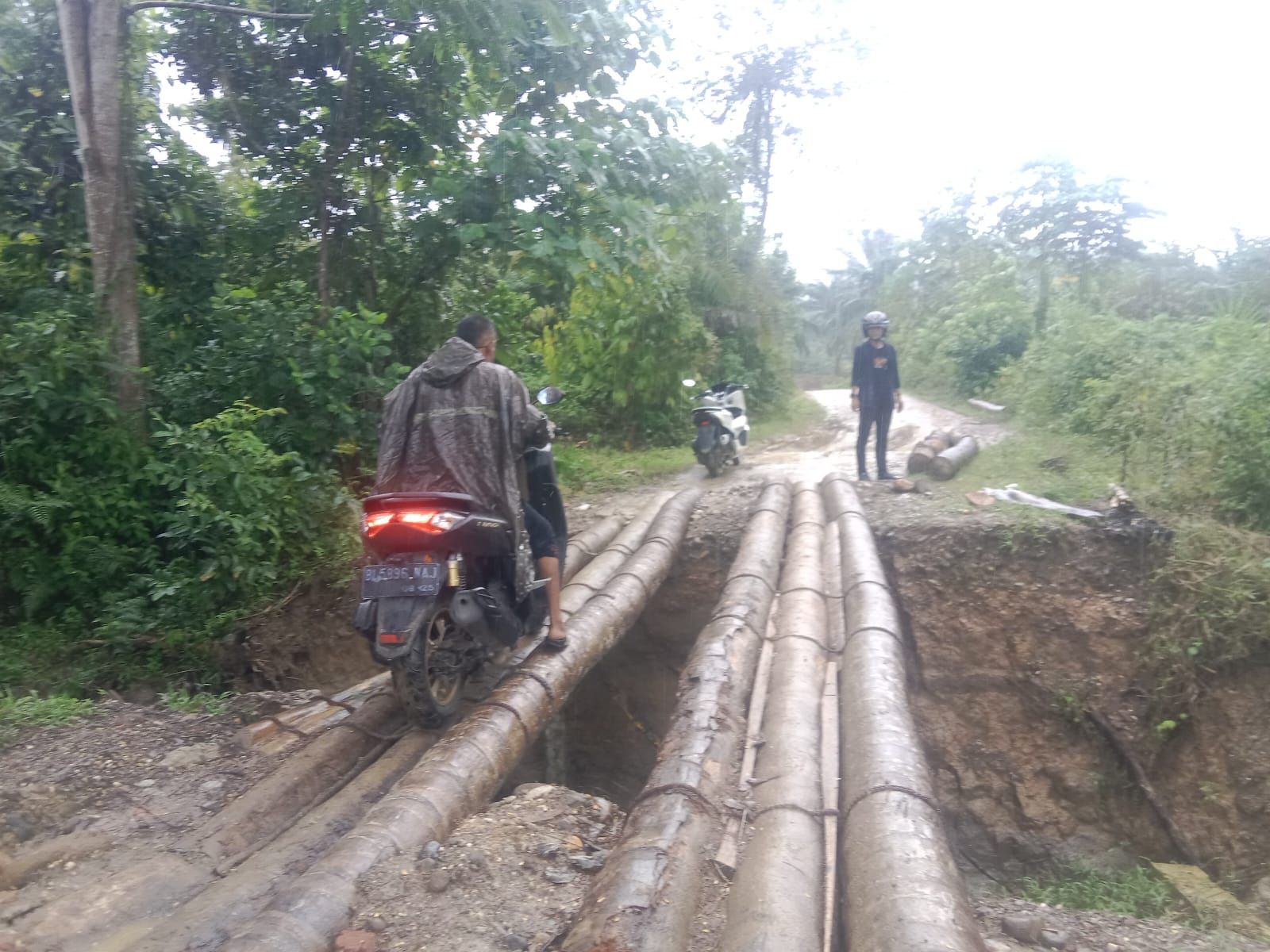 Sentra Perkebunan Kelapa Sawit Aceh Utara Di Barei Blang Terisolir