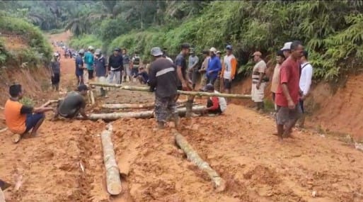 Jalan Sulit Dilalui, Ribuan Hektar Sawit Masyarakat Terpaksa Tidak Panen