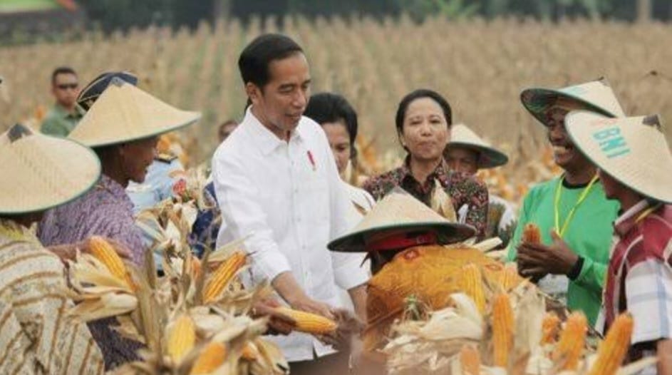 Dukung Masa Tanam, Pemerintah Siapkan 1,7 Juta Ton Pupuk