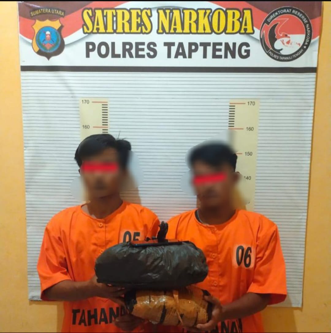 Polres Tapteng Ringkus Dua Orang Terduga Pemilik 1,7 Kg Ganja
