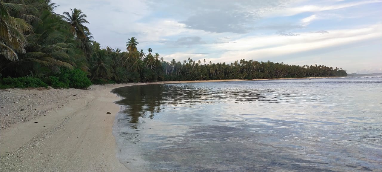 Kawasan Nanio Nisel Untuk Pengembangan Lahan Pertanian Dan Pariwisata
