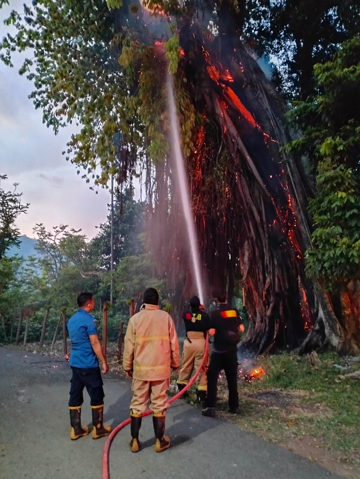 Bak Rambong Terbakar Di Geudring