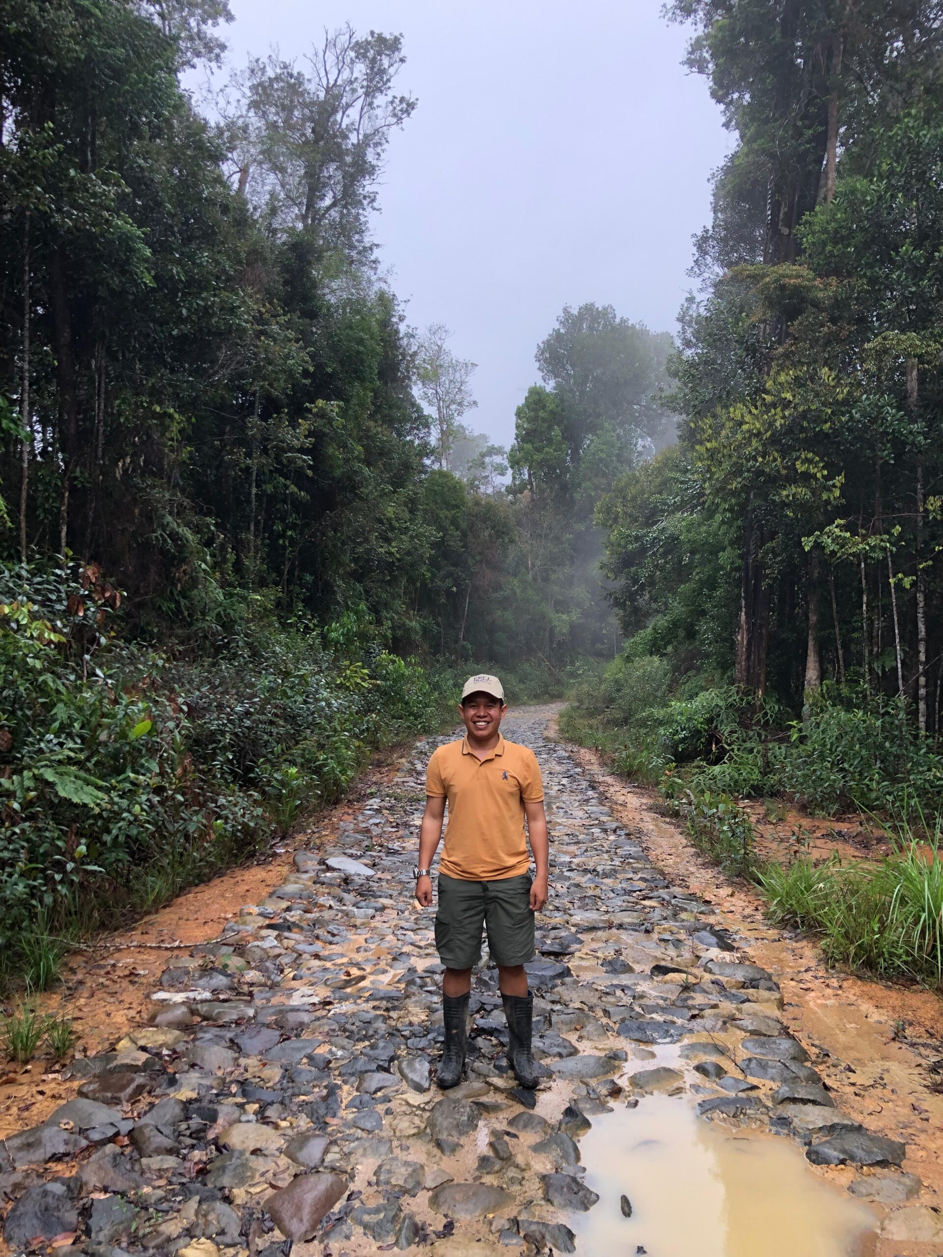 Perubahan Tutupan Lahan Di Ekositem Batangtoru