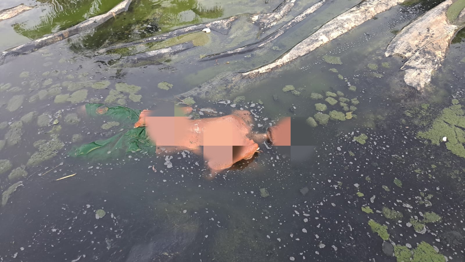 Pekerja Kolam Tewas Di Tambak Udang