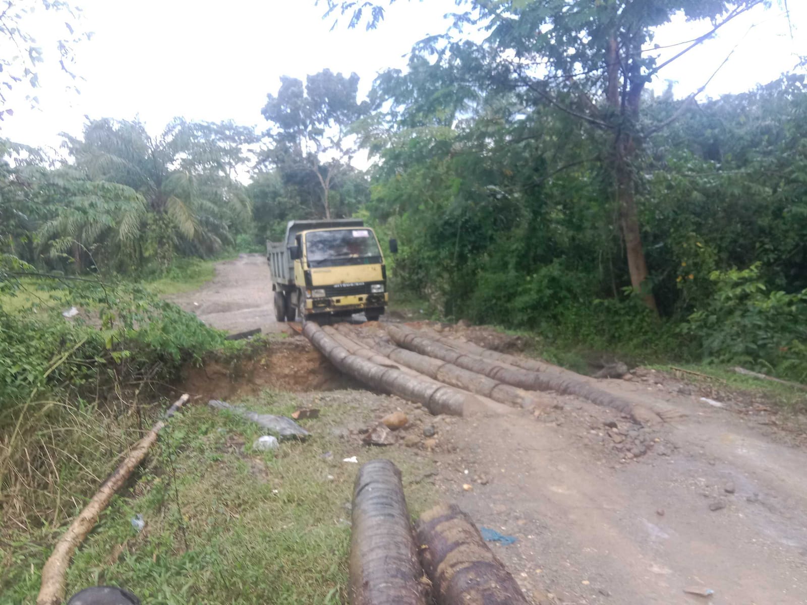 Pembangunan Kawasan Pekerbunan Sawit Aceh Utara Luput Perhatian Pemerintah