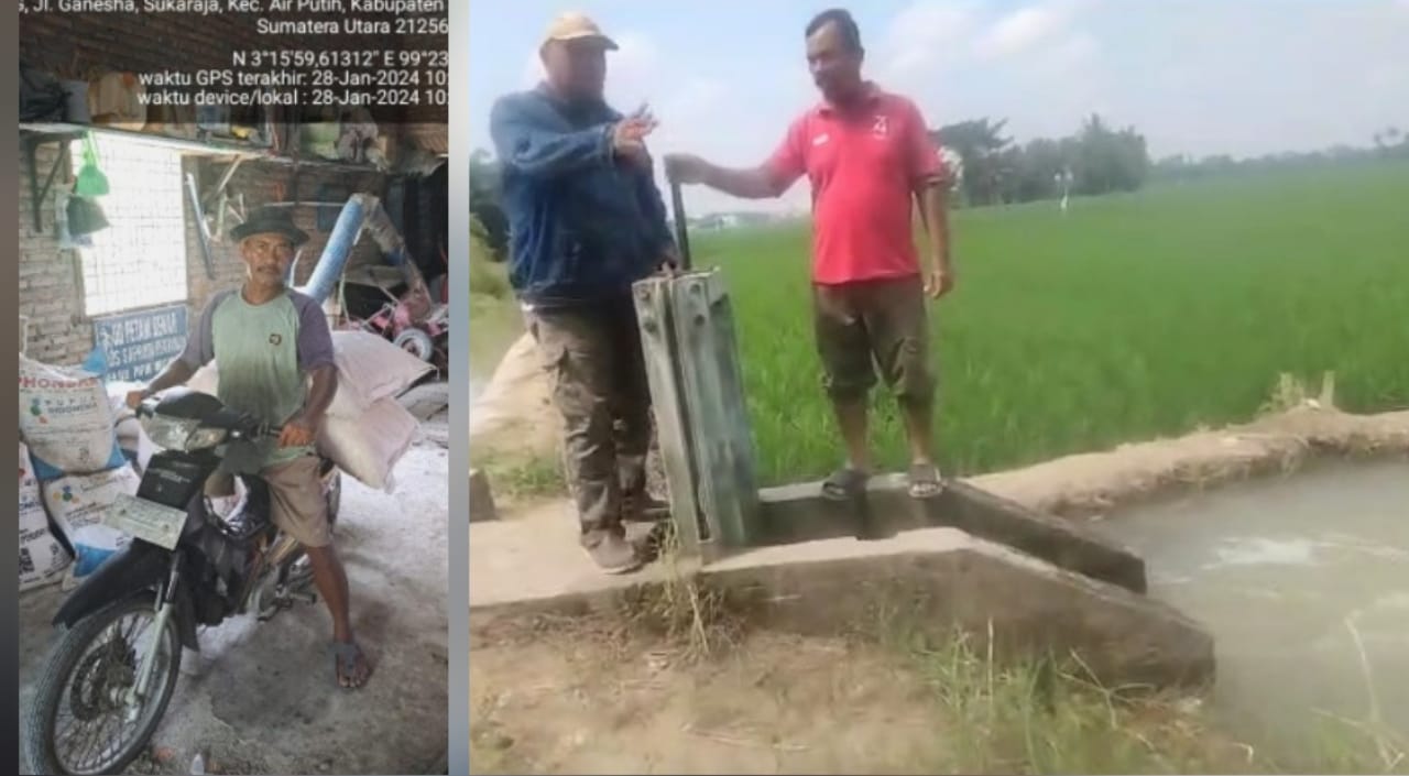 Distanbun Batubara: Tidak Benar Sawah Kekeringan Dan Pupuk Langka