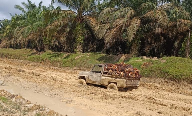 Penanganan Jalan Provinsi Wilayah Palas Diharap Segera Ditampung Di APBN