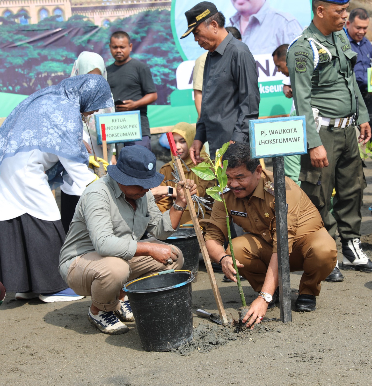 Upayakan Kota Adipura, Pemko Lhokseumawe Tanam 3000 Mangrove Dan Bentuk Kampung Iklim
