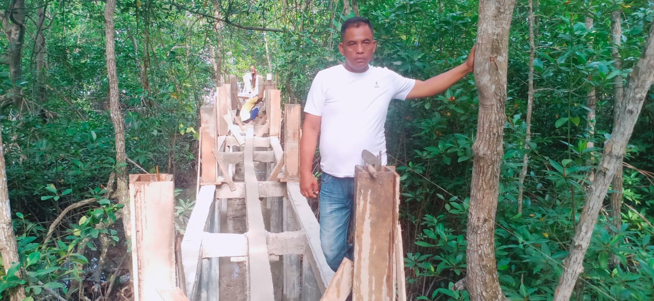Hutan Mangrove Silo Baru Berpotensi Agrowisata