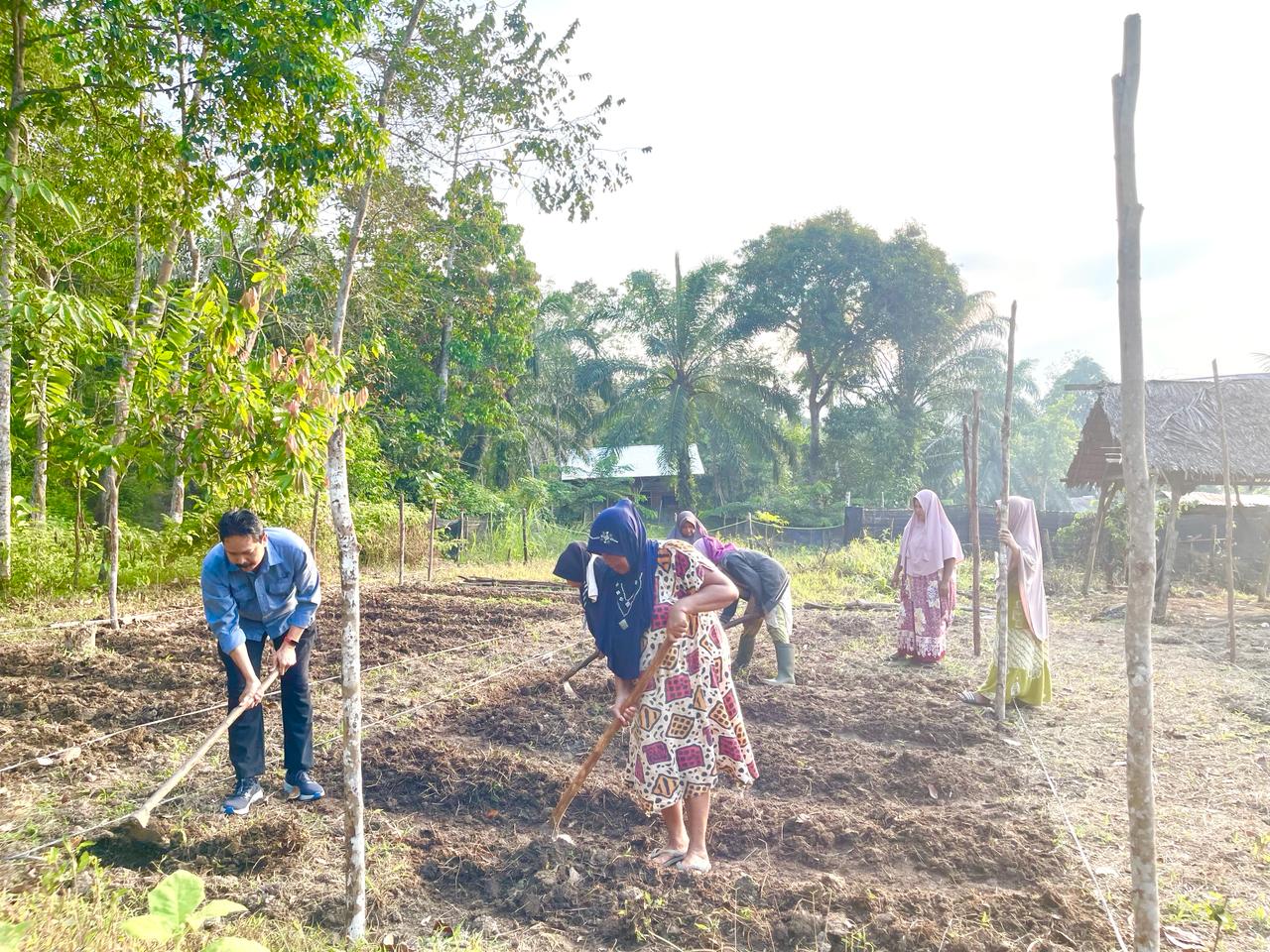 Medco Bina Lima Poktan Perempuan Di Aceh Timur