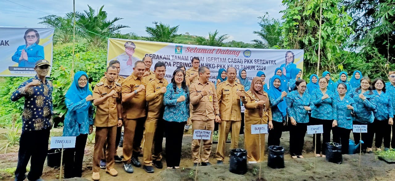 TP PKK Simalungun Ikut Gertam Cabai Serentak Nasional