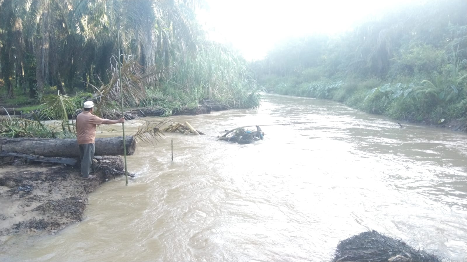 Sungai Batang Taris Meluap, Persawahan Balakka Sitokkon Terancam