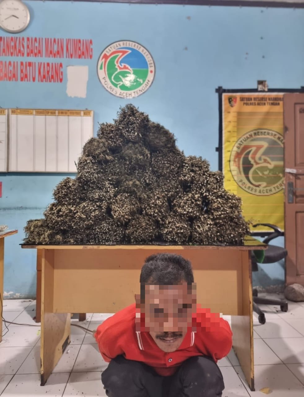 Bawa Ganja 25 Kg, Warga Aceh Utara Dibekuk Polisi Di Takengon