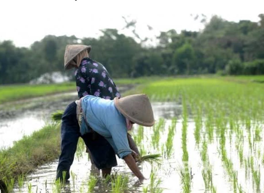 Mentan Khawatirkan Indonesia Masuk Kategori Darurat Pangan