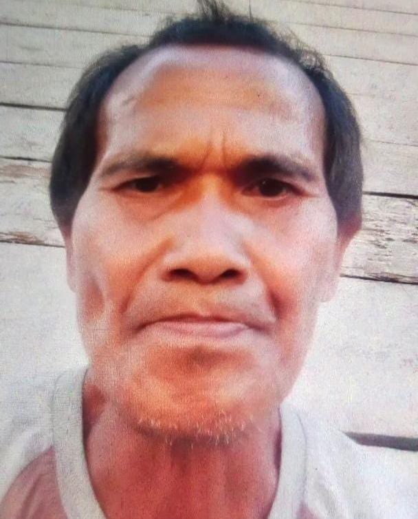 Pencari Kayu Hilang Di Hutan