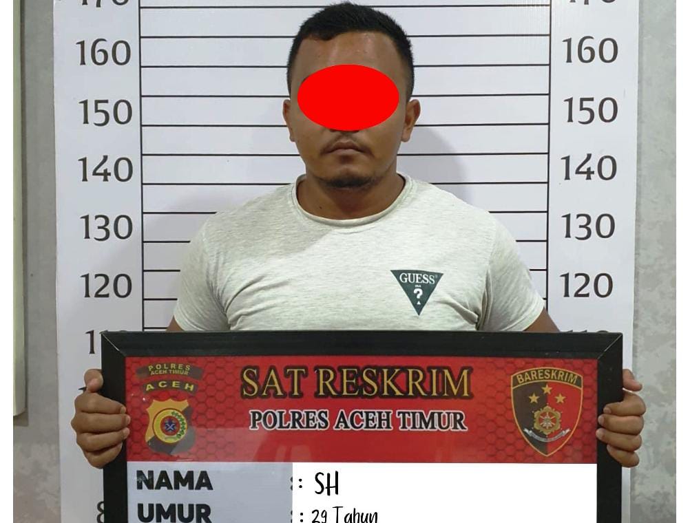 Gegara Ditagih Utang, Warga Idi Cut Aniaya Rekan Sekampung