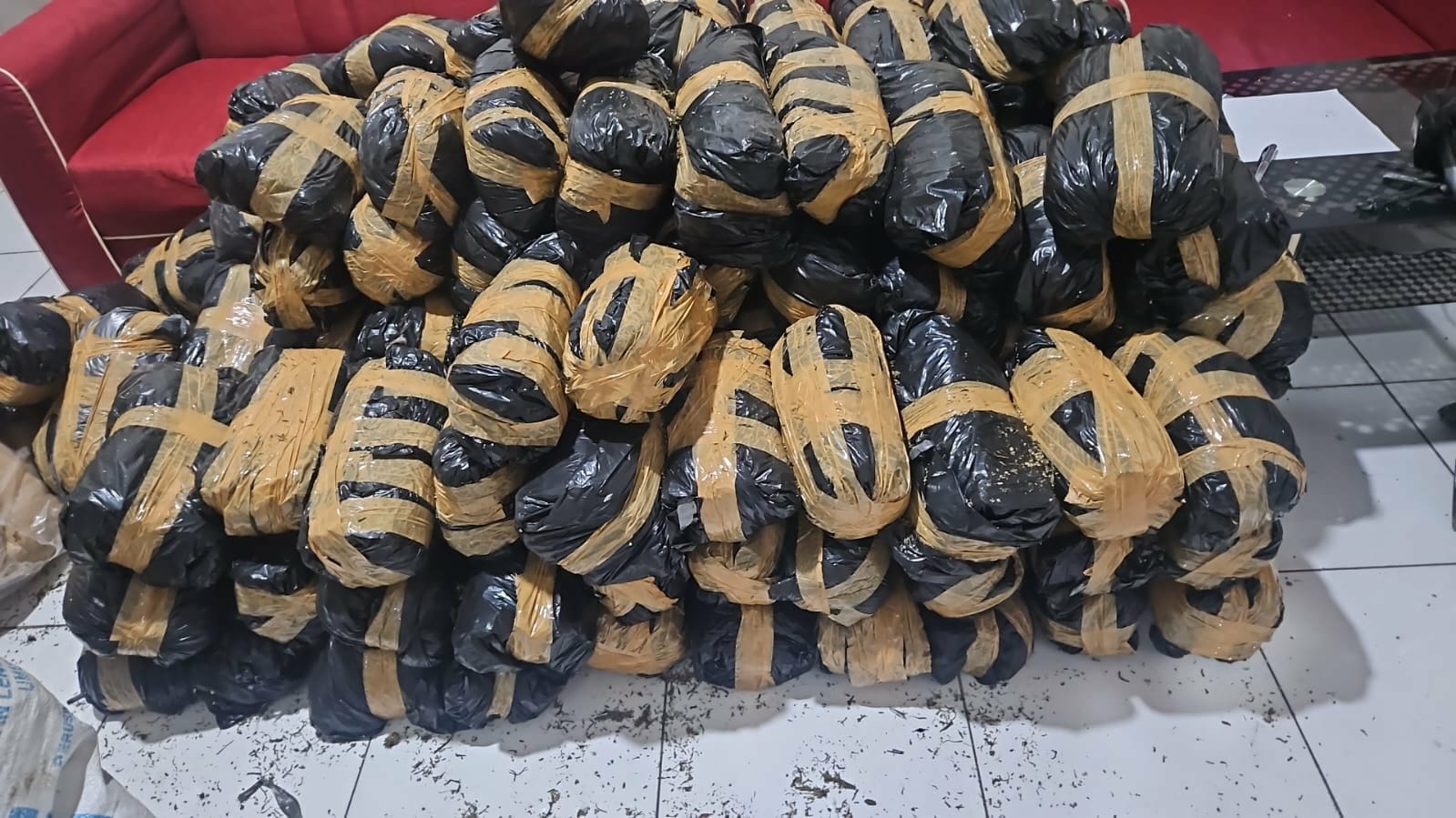 Polda Aceh Ungkap Kasus Narkotika, 300 Kg Ganja Siap Edar Diamankan