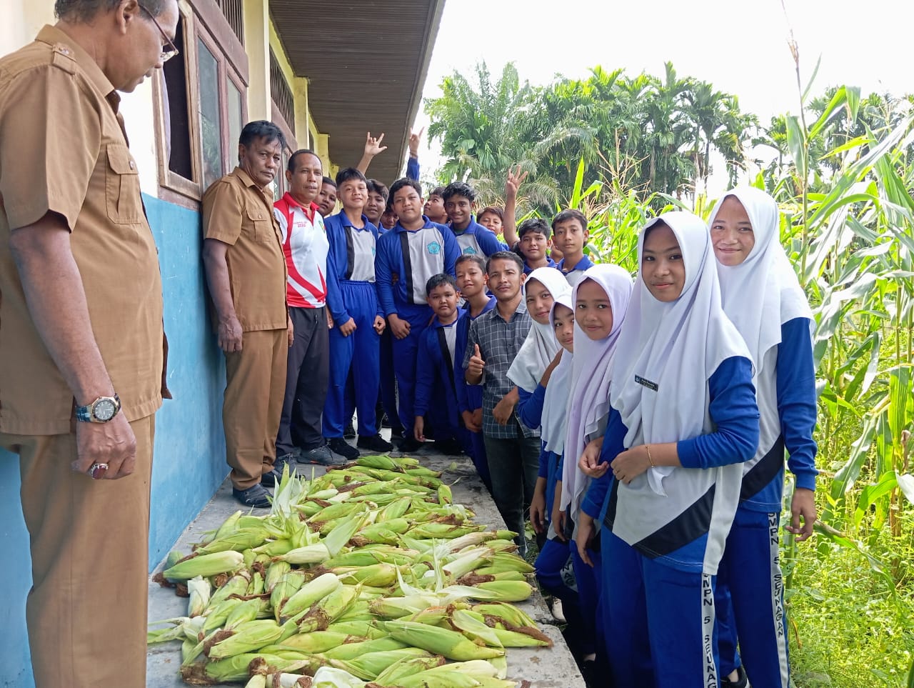 SMPN 5 Seunagan Bercocok Tanam Untuk Ketahanan Pangan