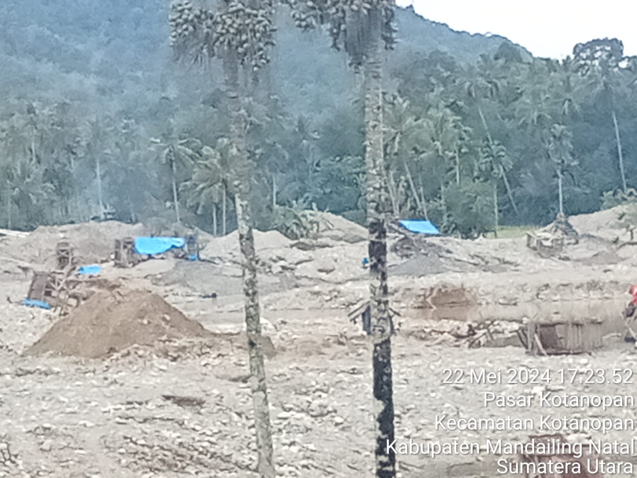PETI Kotanopan Diduga Beroperasi Kembali