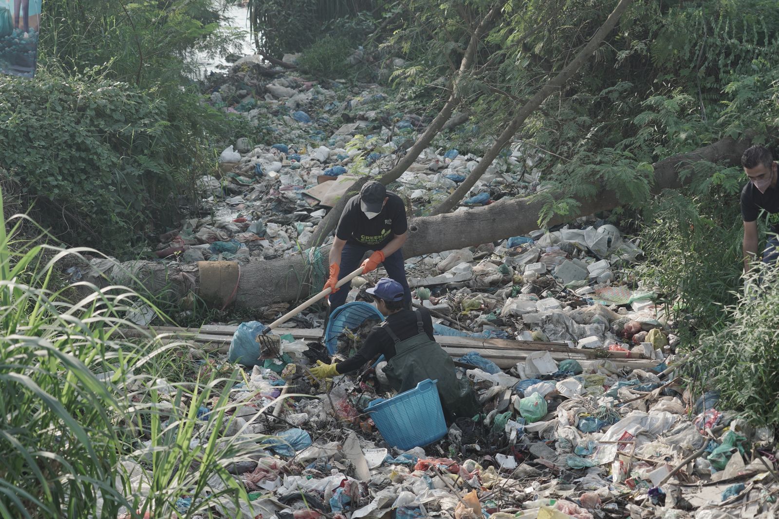 Peringati Hari Lingkungan Hidup Sedunia, PLN UID Sumut Gelar Aksi Bersih Sungai