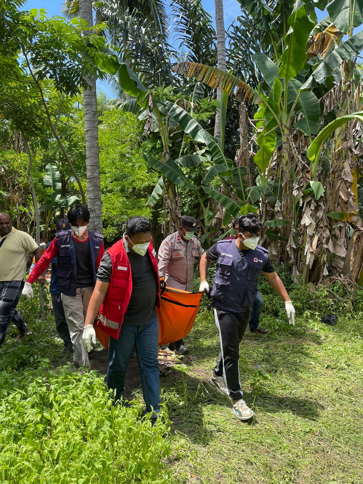 Tiga Hari Menghilang, Pemanjat Kelapa Ditemukan Tak Bernyawa Di Kebun Kelapa