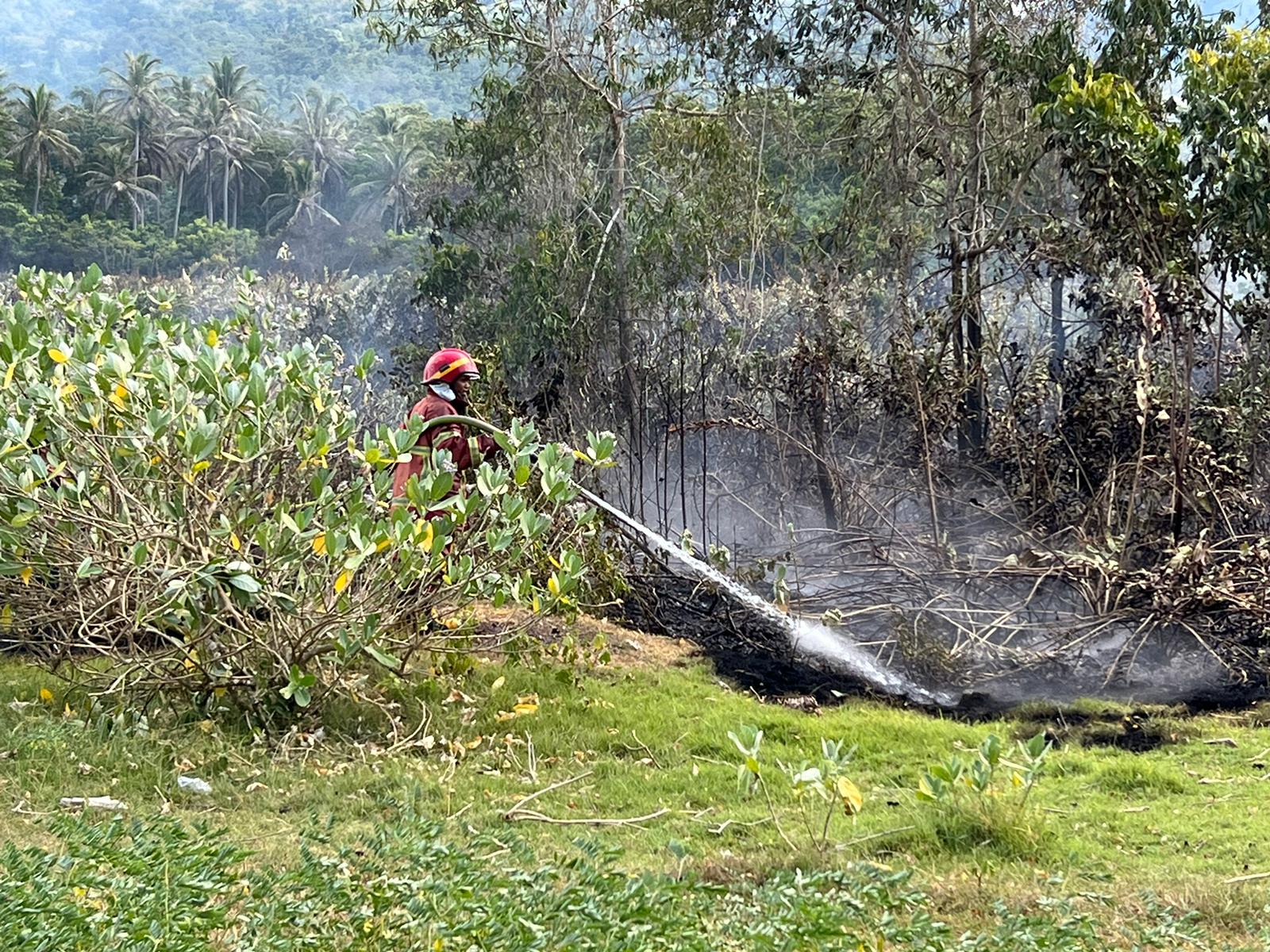 Lahan Ilalang Terbakar Di Krueng Raya