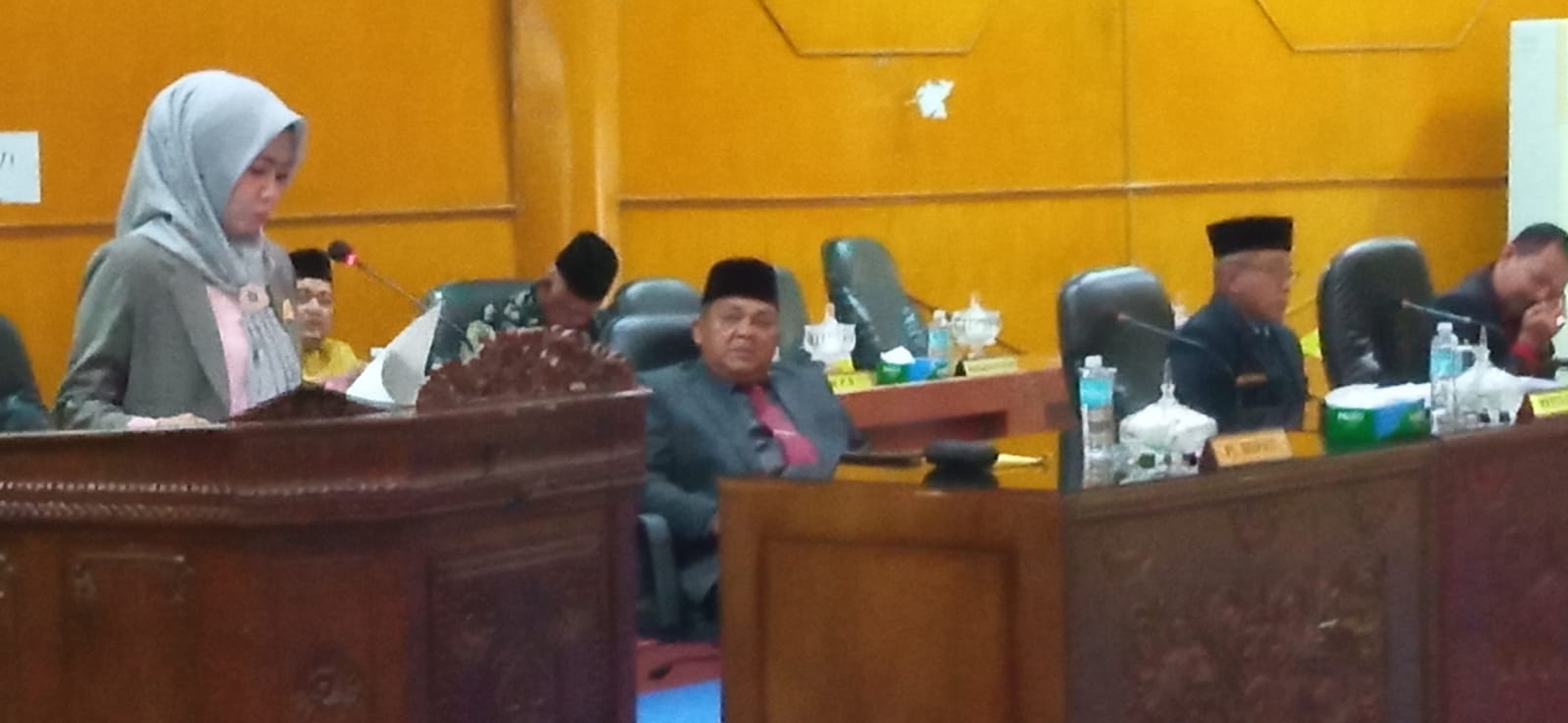 Fraksi Amanat Persatuan Dan Keadilan Menilai Banyak Bantuan Tidak Tepat Sasaran Di Aceh Tamiang