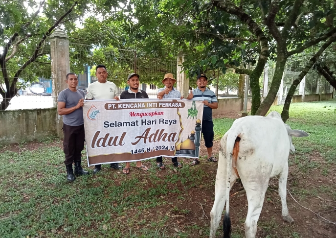 Idul Adha 1445 H, PT. KIP Bagikan Lima Hewan Kurban
