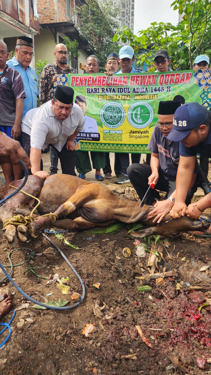 Jamiyah Singapore Dan BKPRMI Sebar 1.000 Hewan Kurban Di Indonesia