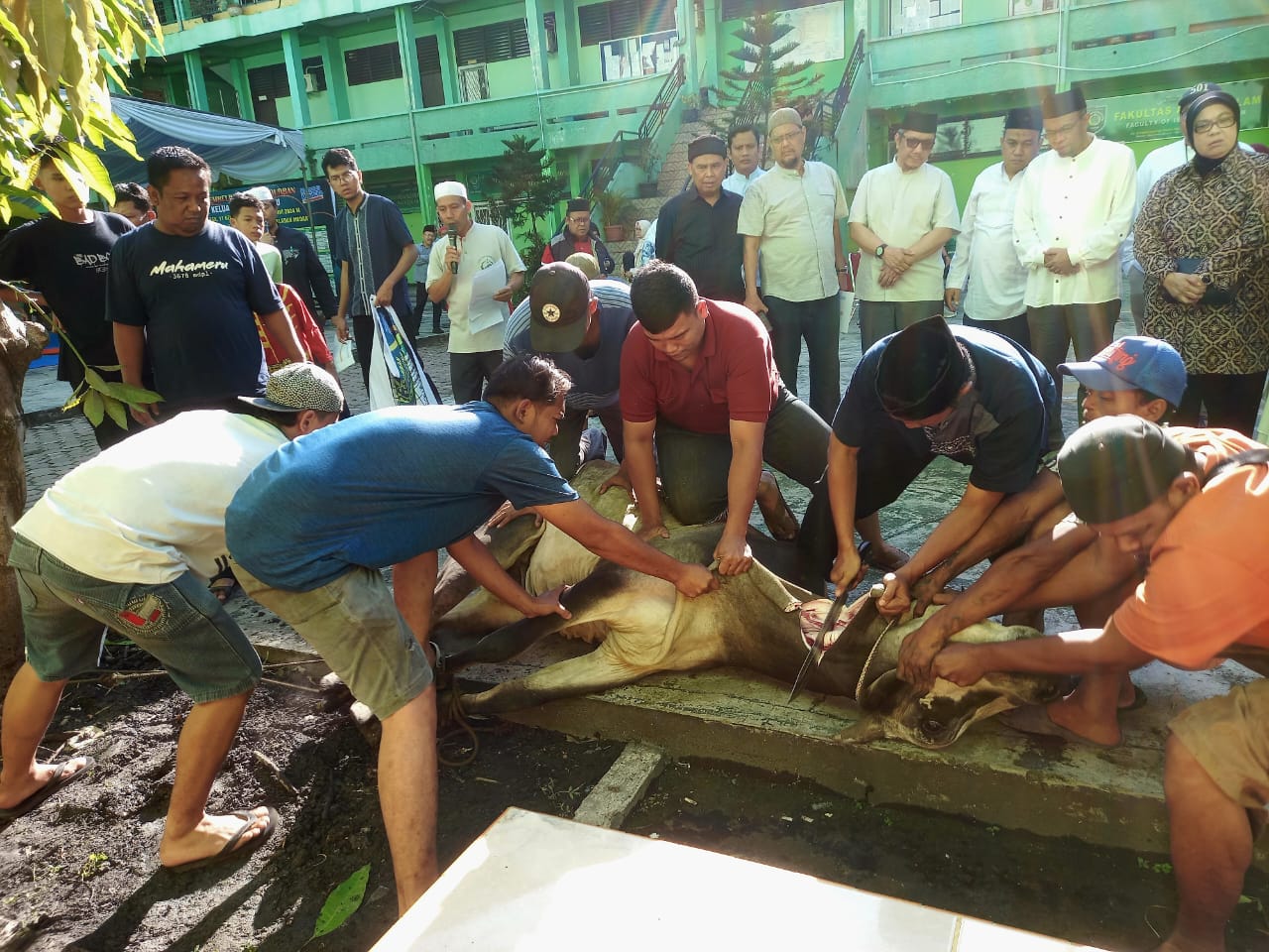 UISU Salurkan 1.000 Kupon Daging Kurban