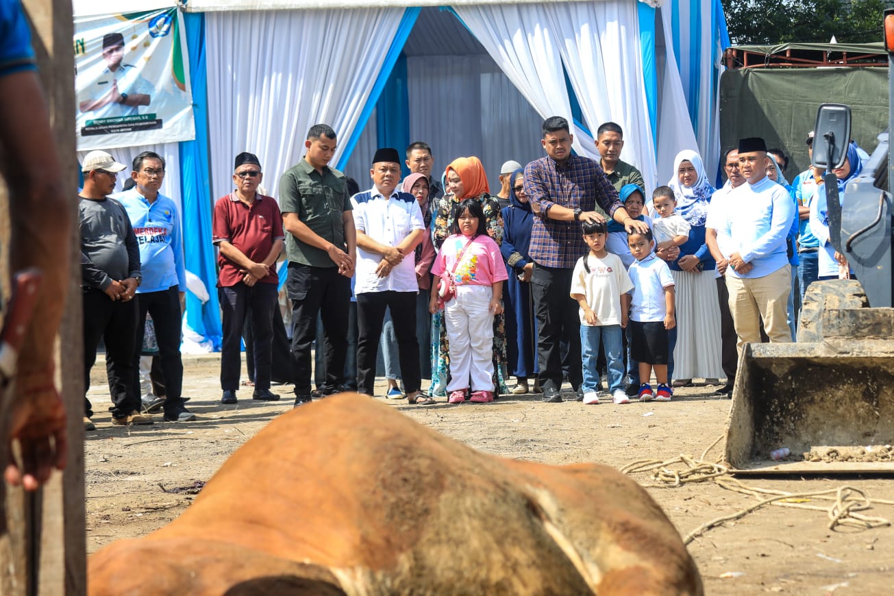 Bobby Nasution Saksikan Penyembelihan 92 Hewan Kurban Jajaran Disdikbud Medan
