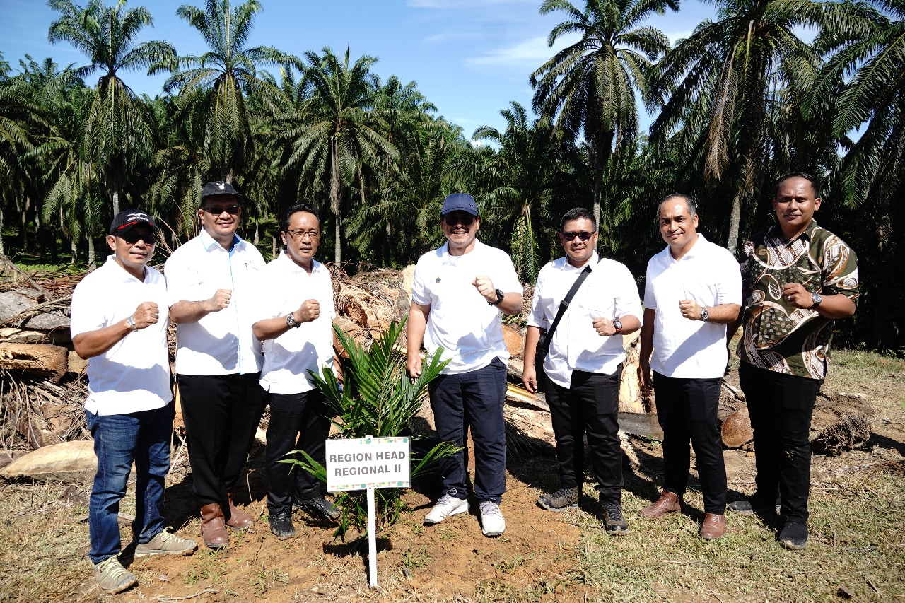 PTPN IV Regional II Tanam Perdana Kelapa Sawit 107 Ha Di Kebun Plasma KUD Tani Makmur Langkat