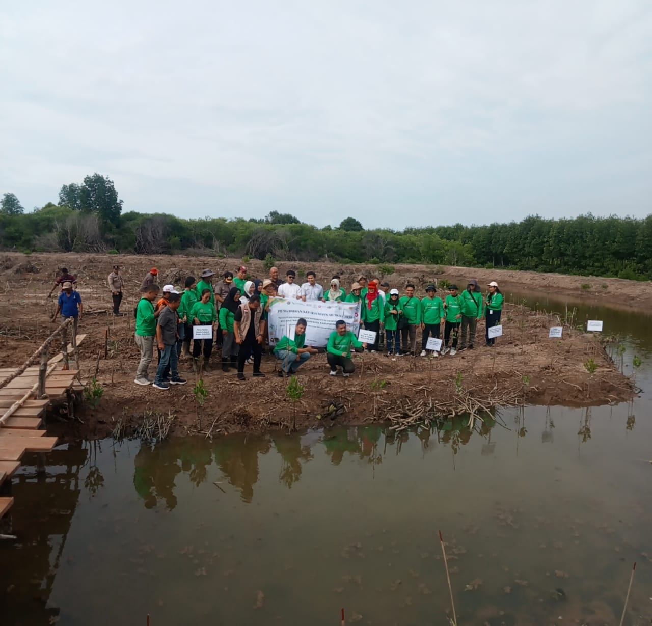 IKA USU Tanam 10 Ribu Pohon Mangrove Di Pesisir Pangkalansusu