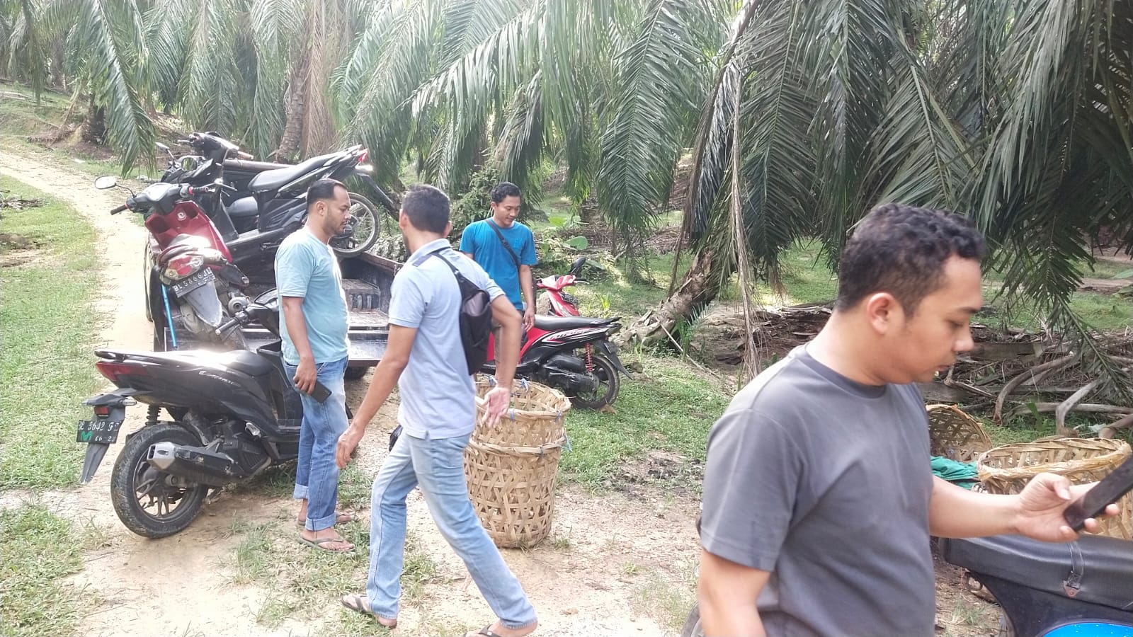 Polres Langsa Gerebek Judi Sabung Ayam Di Kebun Sawit
