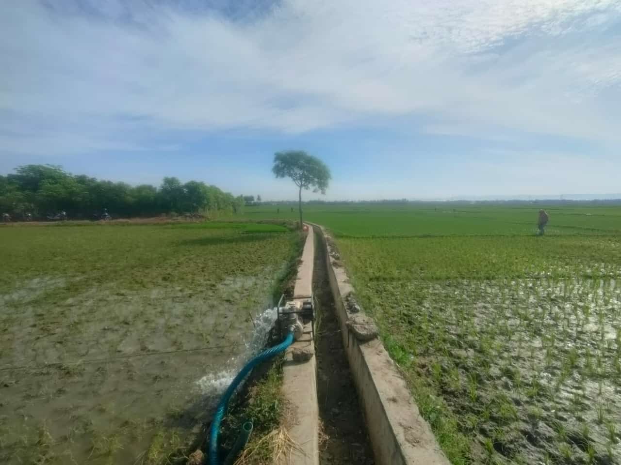 Airi Sawah, Petani Blang Raya Andalkan Pompanisasi
