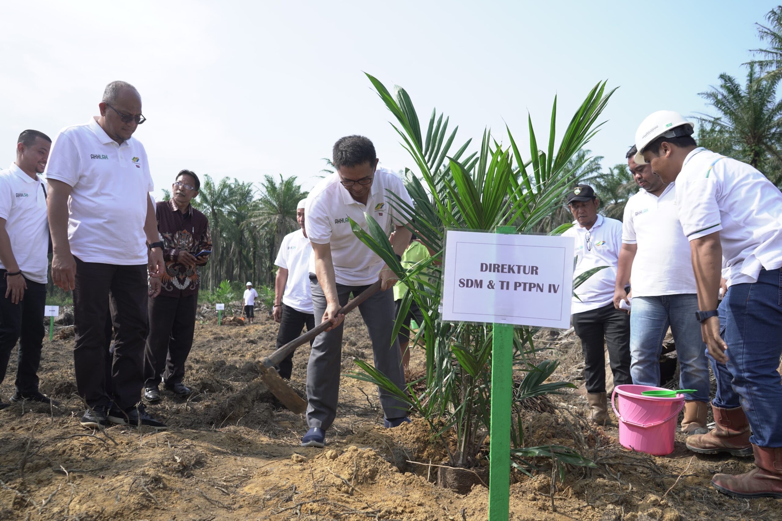 PTPN IV Regional I Realisasikan 744,93 Ha Lahan Peremajaan Sawit Rakyat Sampai Juli 2024