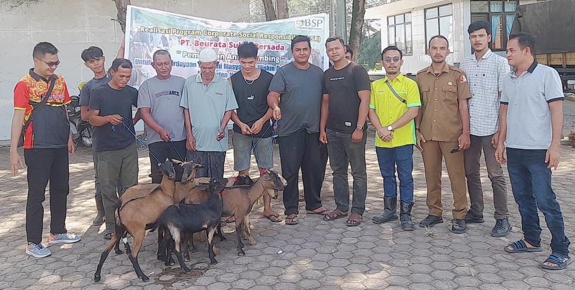 PT BSP Serahkan CSR Ternak Kambing Untuk Lima Kelompok