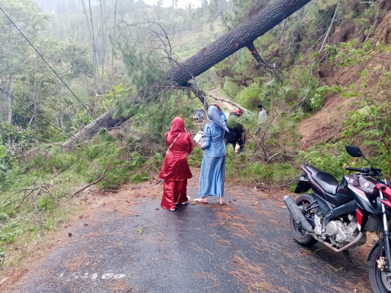 Hujan Lebat Takengon Tumbangkan Pohon Dan Rusak Rumah Warga