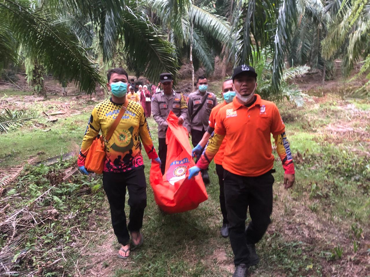 Warga Dihebohkan Penemuan Kerangka Manusia Di Areal Perkebunan