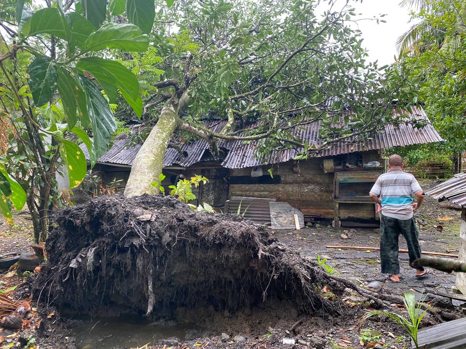 Angin Kencang Landa Nagan Raya, Tiga Rumah Rusak
