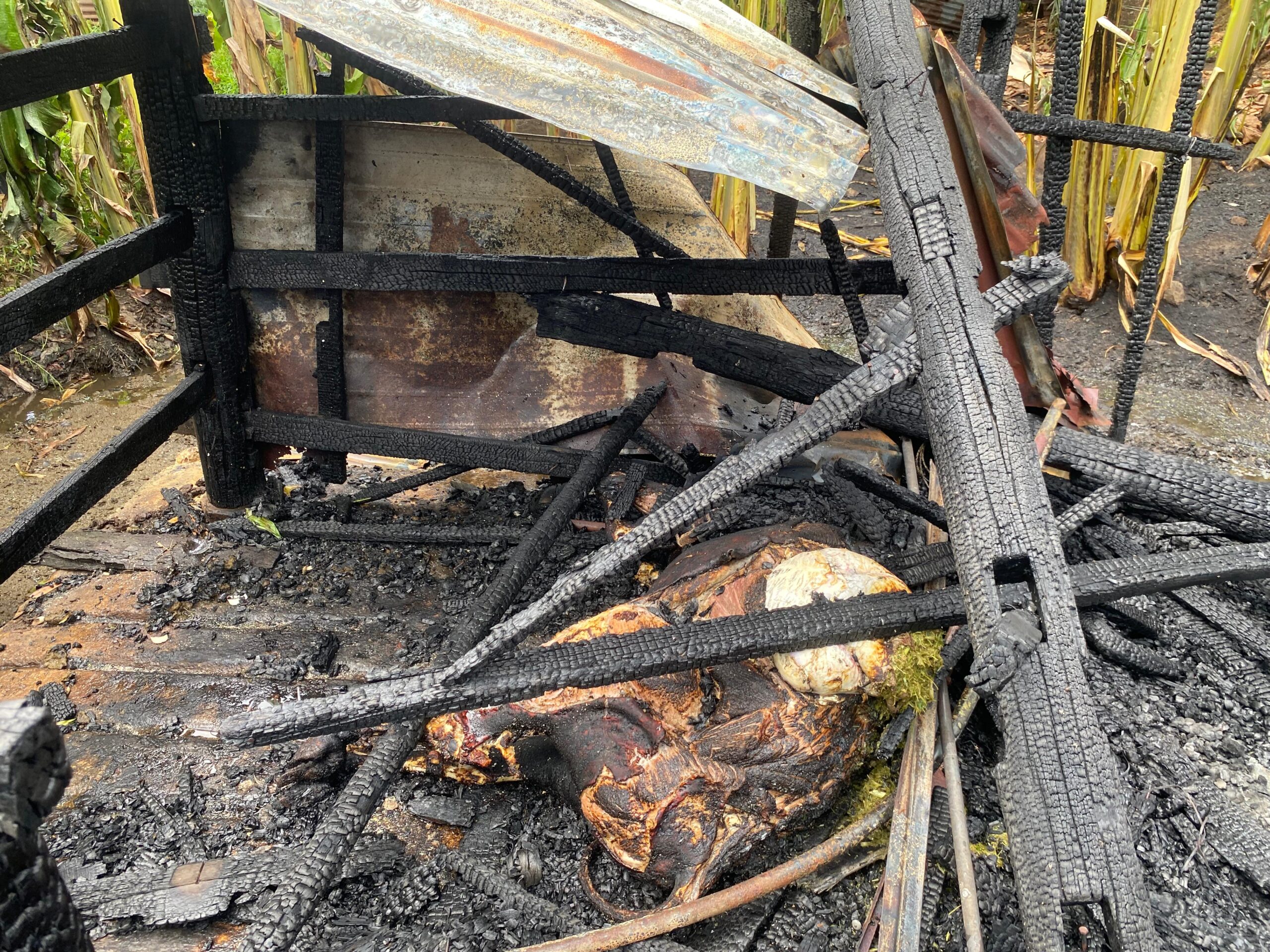 Kandang Sapi Dan Usaha Perabotan Terbakar, Uang Tunai Rp70 Juta Musnah