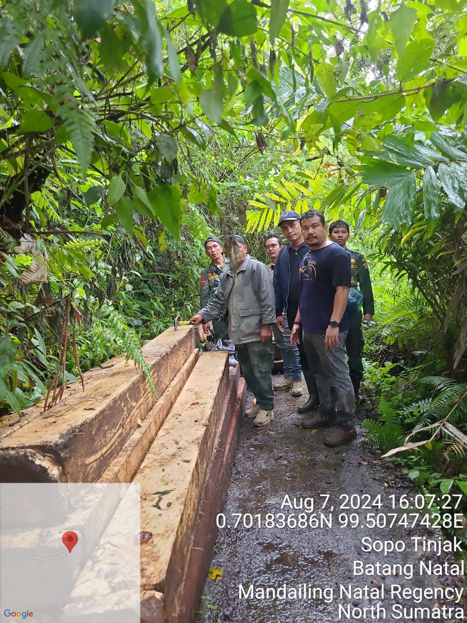 Illegal Logging Marak, Balai TNBG Giat Patroli